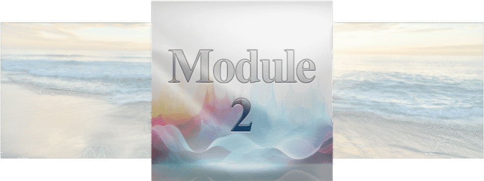 Module 2 - Formation-e-learning