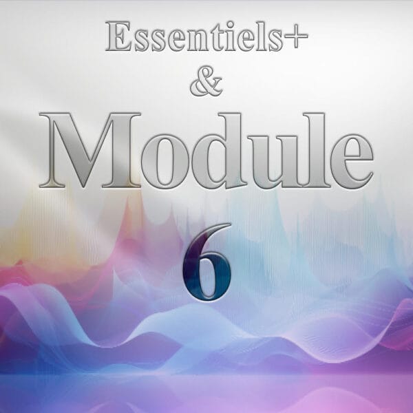 Module 6 combiné (Essentiels+)